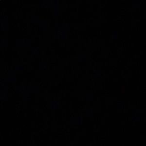 Meet your Posher, Damian